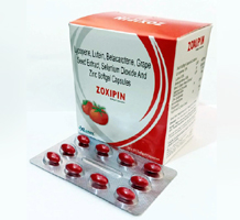  top pharma franchise products in ambala haryana zoxen pharma 
